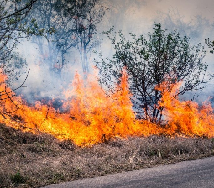 bushfire-burning-at-kruger-park-in-south-africa-2021-10-16-03-58-43-utc(1)